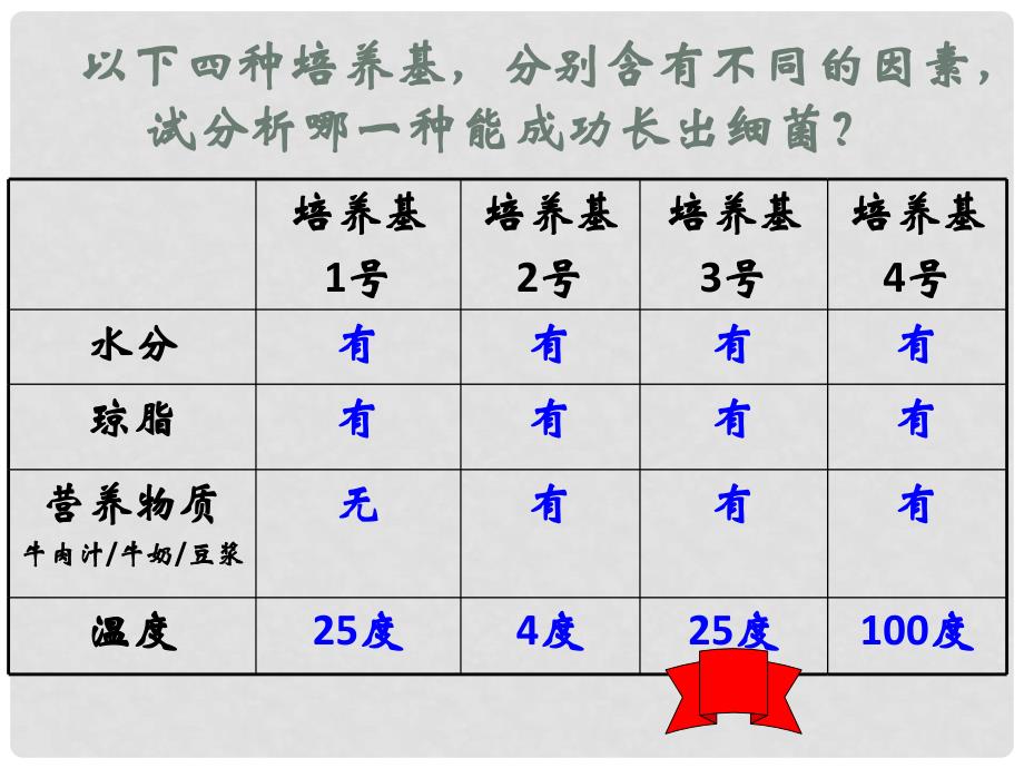 广州市白云区汇侨中学八年级生物上册《5.4.2细菌》课件 新人教版_第4页