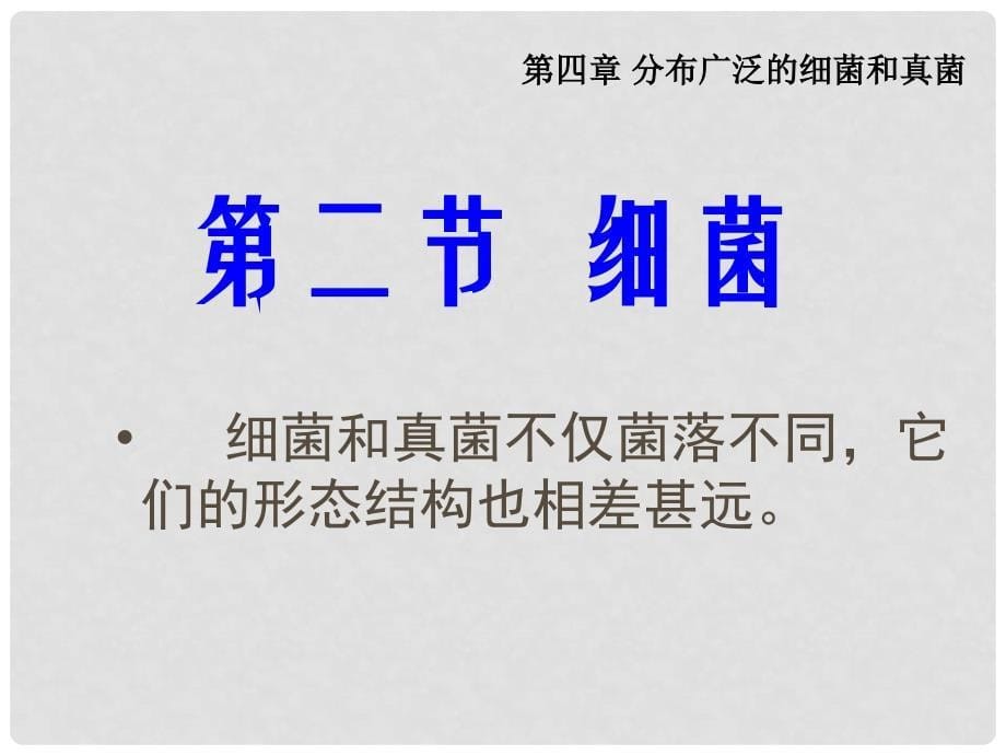 广州市白云区汇侨中学八年级生物上册《5.4.2细菌》课件 新人教版_第5页