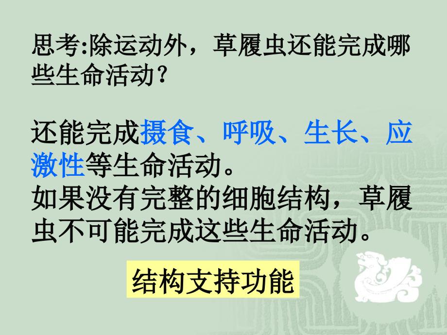 《细胞结构与功能》PPT课件_第4页