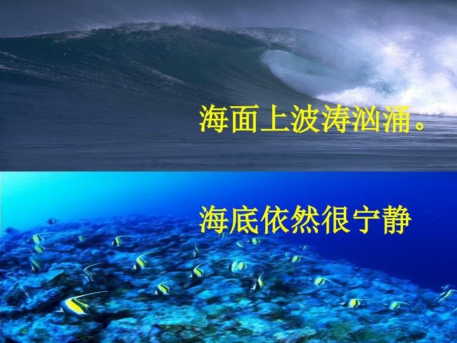 海底世界冯卫荣三年级语文上册第十单元海底世界_第5页