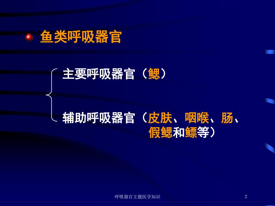 呼吸器官主题医学知识培训课件_第2页