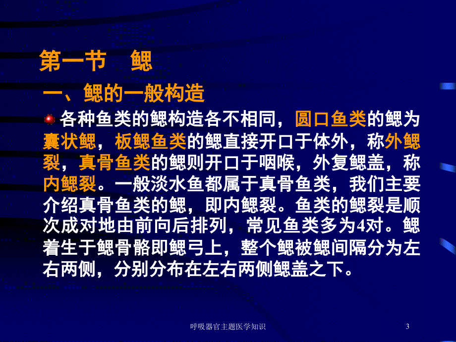 呼吸器官主题医学知识培训课件_第3页