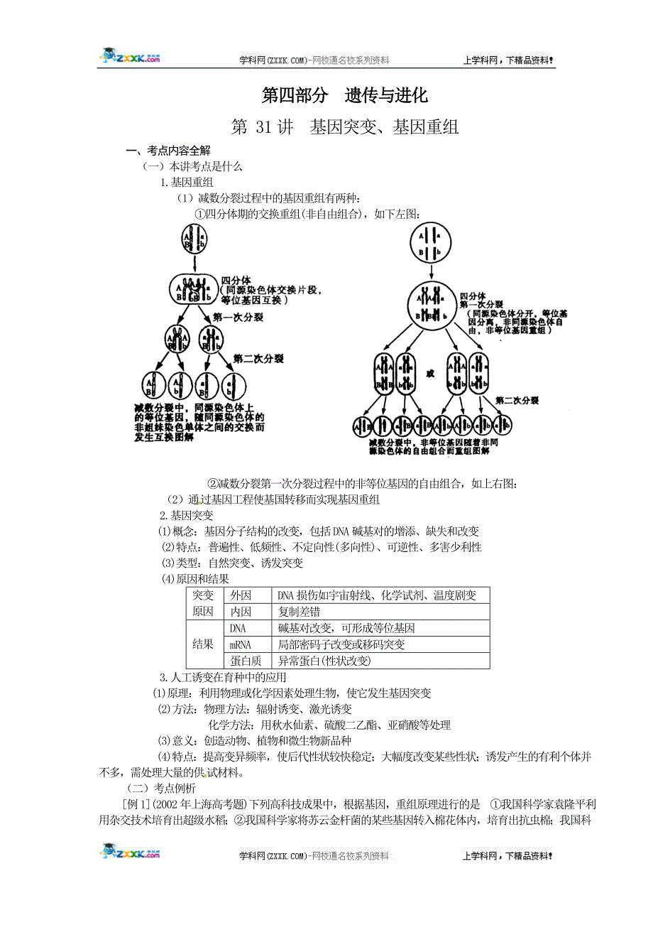 第31讲基因突变、基因重组.doc_第1页