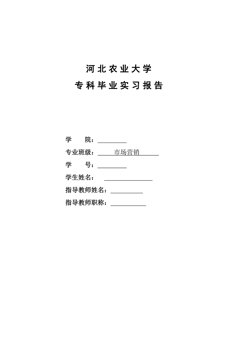 市场营销专业毕业实习报告_第1页