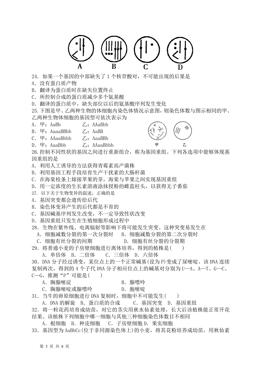 遗传物质变异习题.doc_第3页