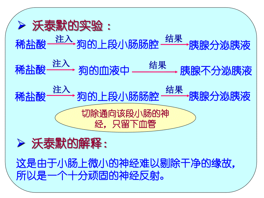 2.2通过激素的调节课件_第4页