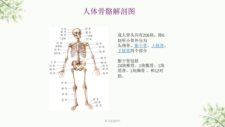 骨科护理基本知识课件_第3页