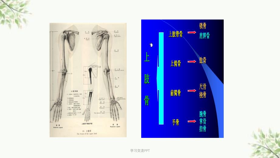 骨科护理基本知识课件_第4页