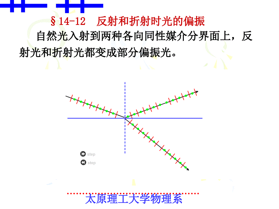 大学物理&#167;14-12反射和折射时光的偏振.ppt_第1页