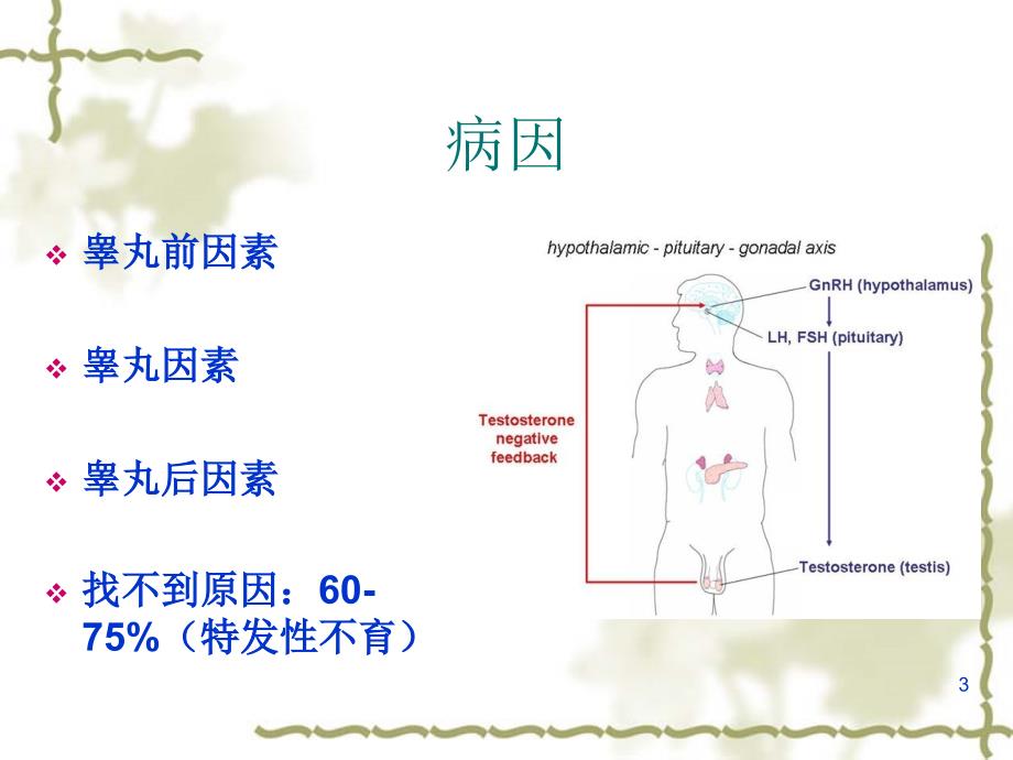 人工授精优秀课件_第3页