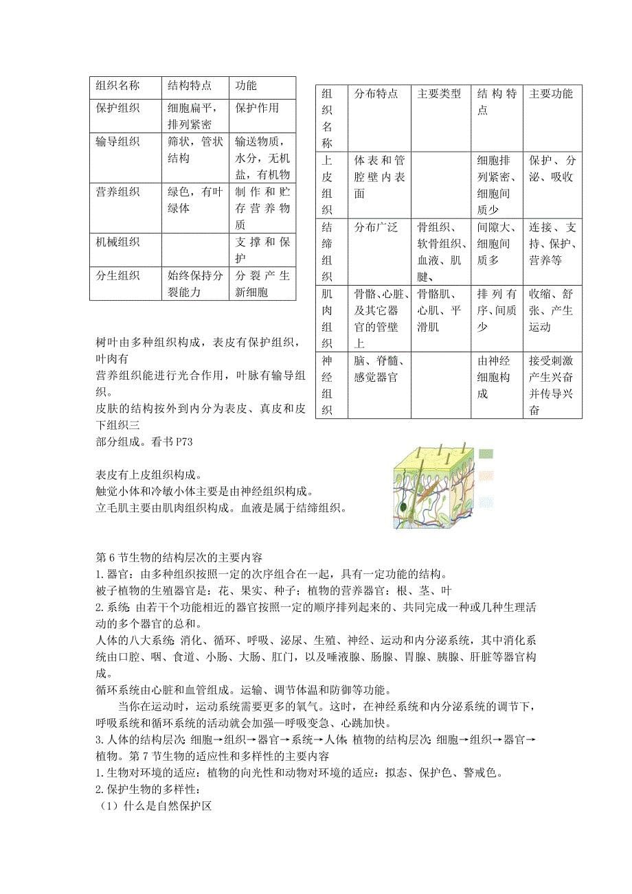 七年级科学上册 期末复习提纲 浙教版_第5页