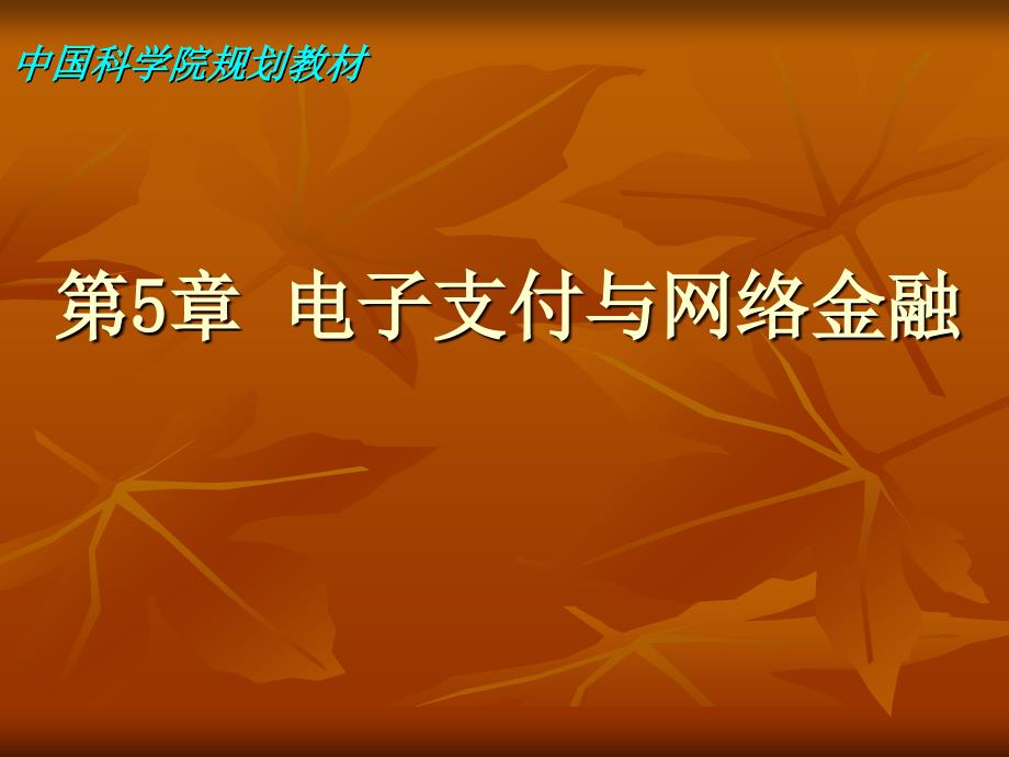 第5章电子支付与网络金融ppt课件_第1页