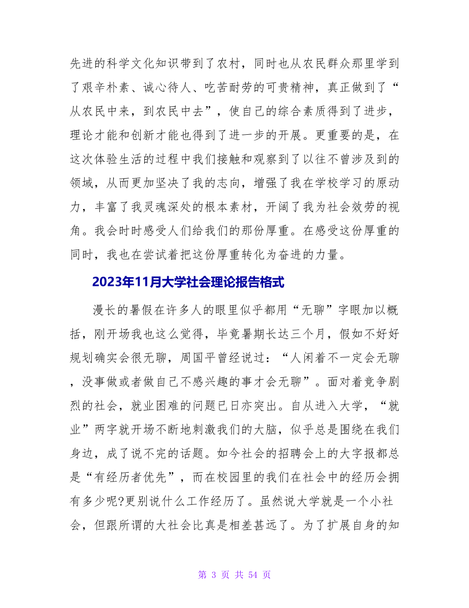 2023年11月大学社会实践报告.doc_第3页