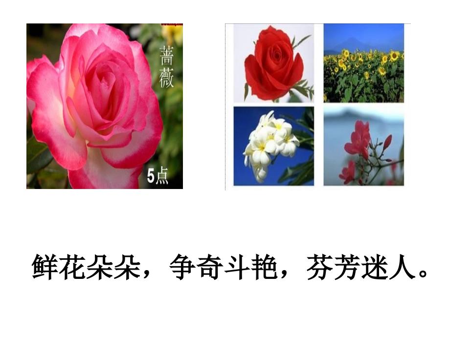 花钟教学课件_第4页