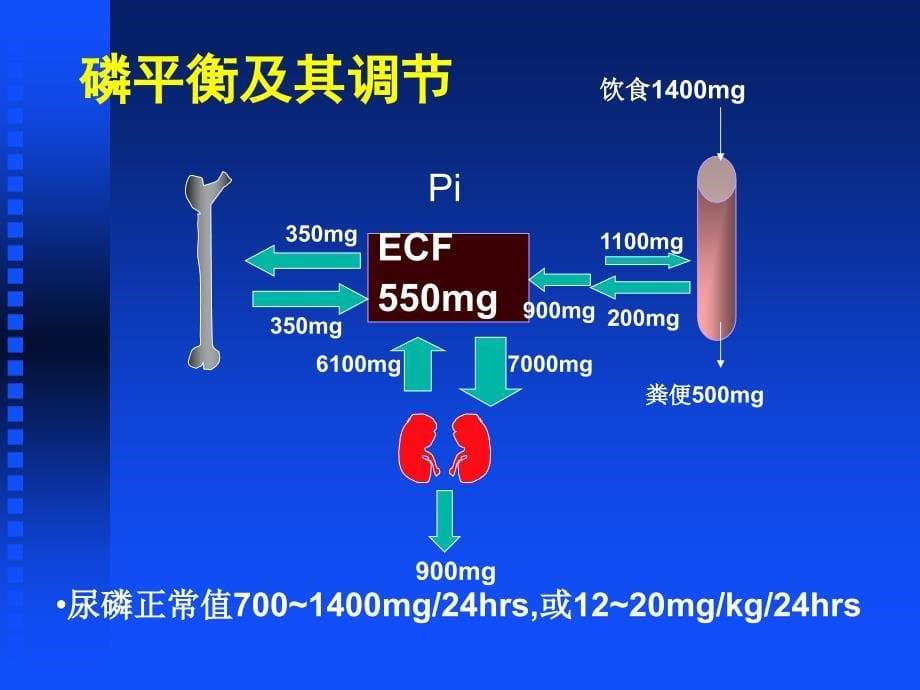 佝偻病和骨软化症课件_1_第5页