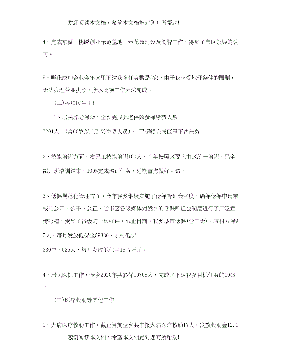 乡镇社会事务办年终工作总结范文_第2页