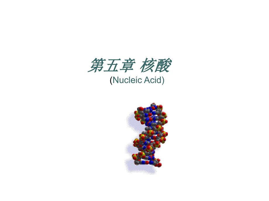 生物化学PT课件_第1页