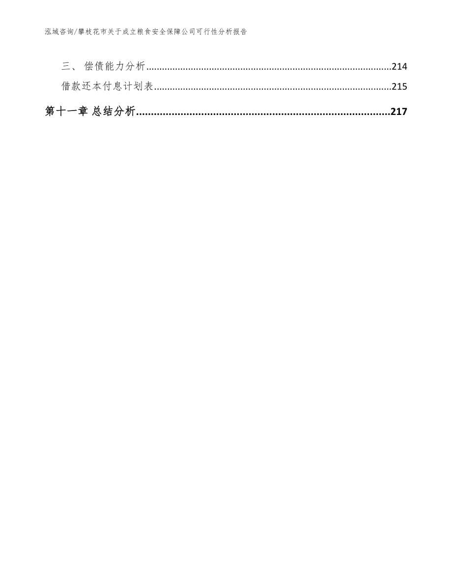 攀枝花市关于成立粮食安全保障公司可行性分析报告【范文】_第5页