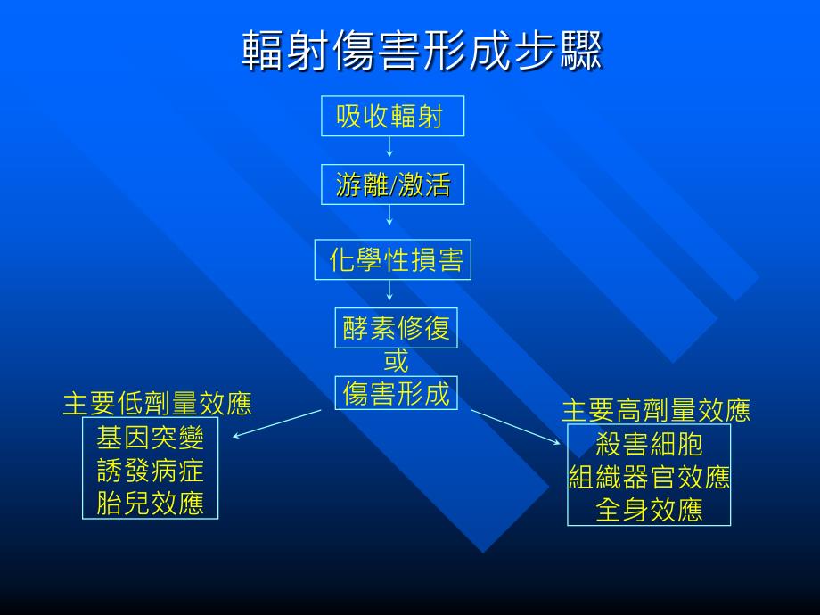 辐射对生物体的影响课件_第2页