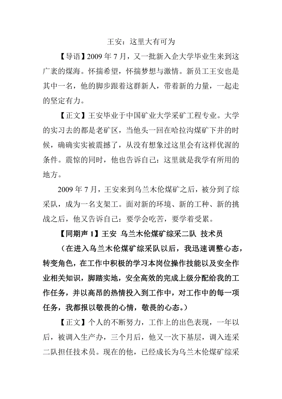 王安：这里大有可为.doc_第1页