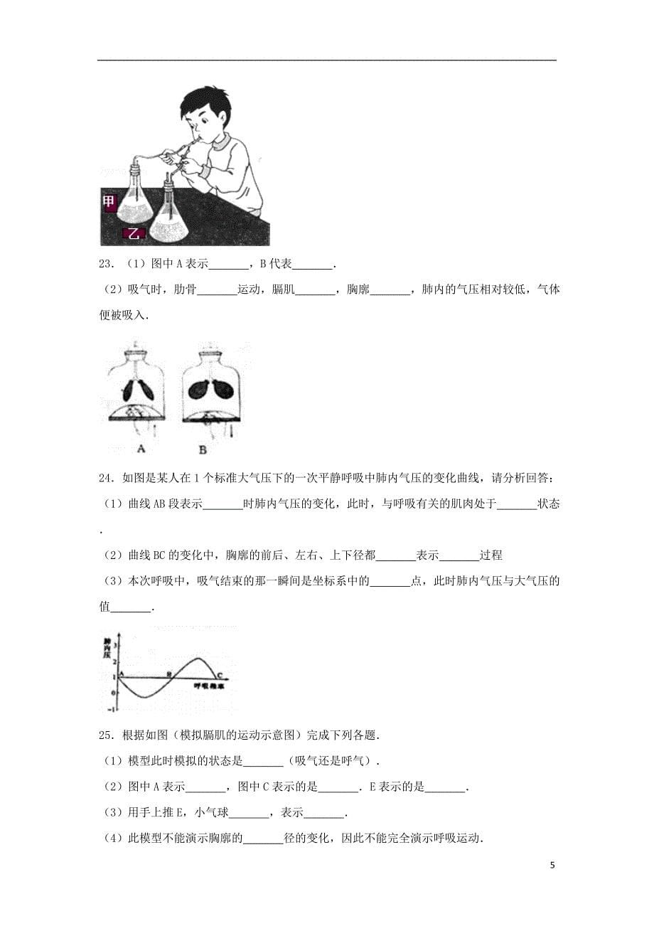 2017-2018学年七年级生物下册 第四单元 第三章 第二节《发生在肺内的气体交换》基础练习 （新版）新人教版_第5页