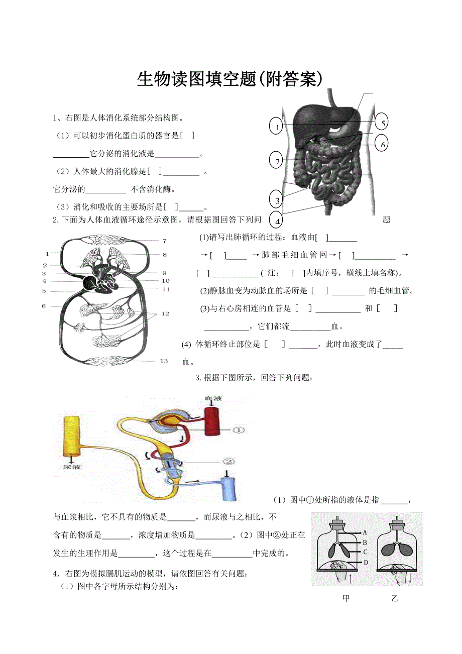 七年级下册生物读图填空题(附答案)_第1页