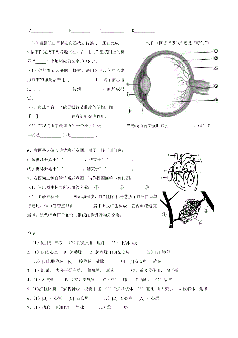 七年级下册生物读图填空题(附答案)_第2页