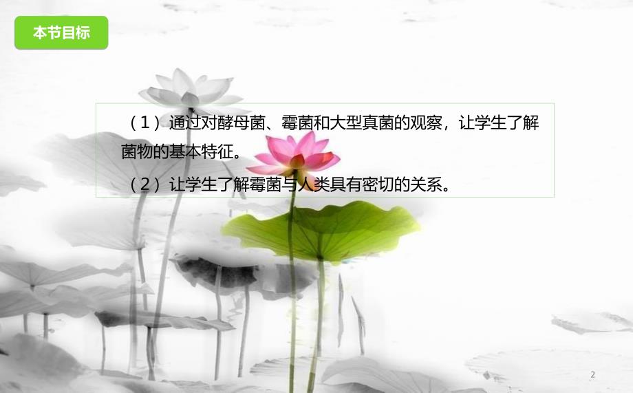 八年级生物下册 13.5 真菌课件 北京课改版[共23页]_第2页