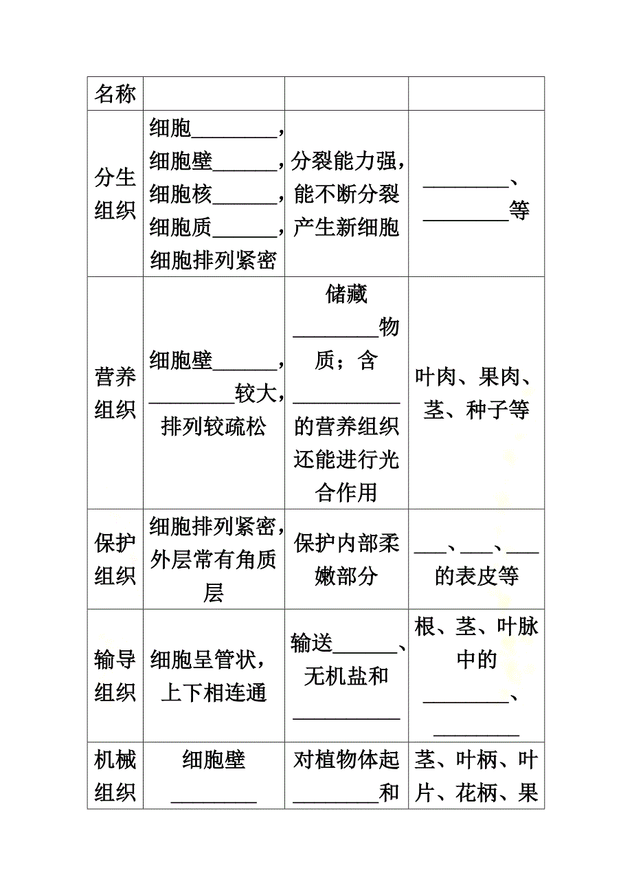 七年级生物上册2.2.3植物体的结构层次学案（原版）（新版）新人教版_第3页