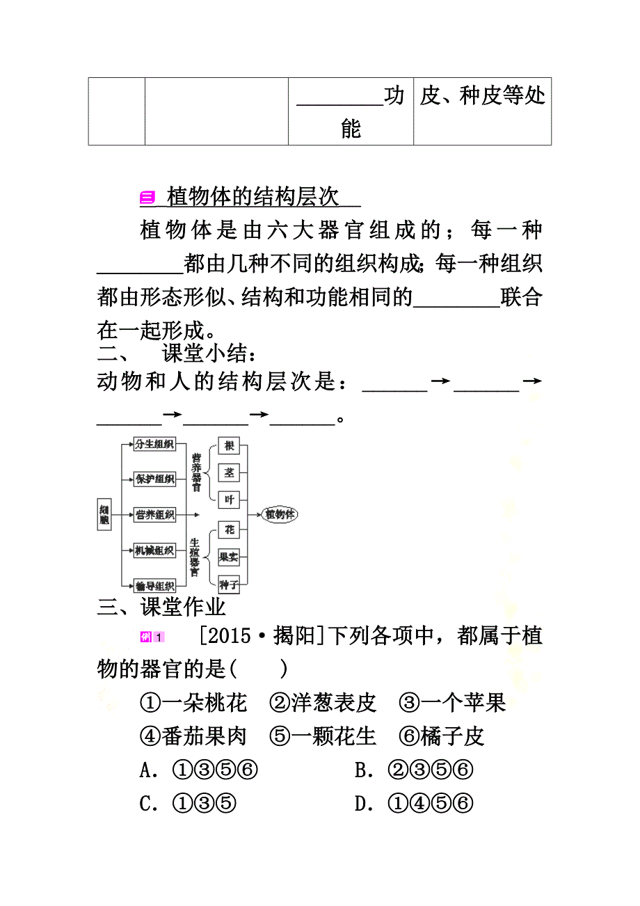 七年级生物上册2.2.3植物体的结构层次学案（原版）（新版）新人教版_第4页