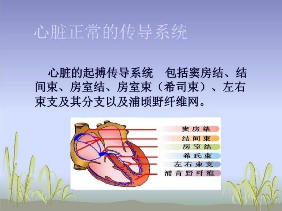 最新心律失常副本PPT课件_第5页