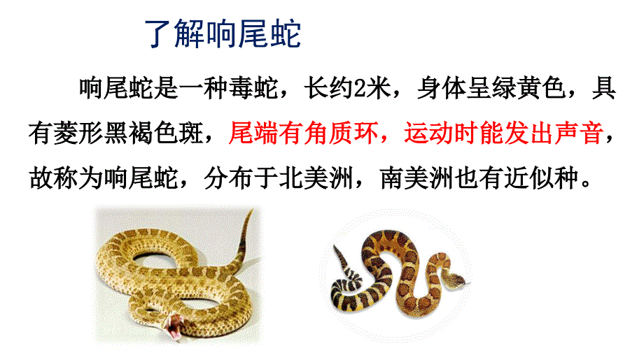 北师大版生物七年级上册22-生物学研究的基本方法课件_第3页