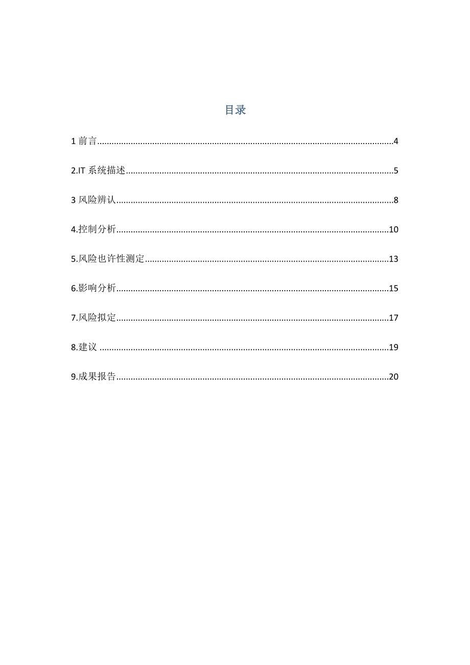 风险分析评估基础报告模板_第5页