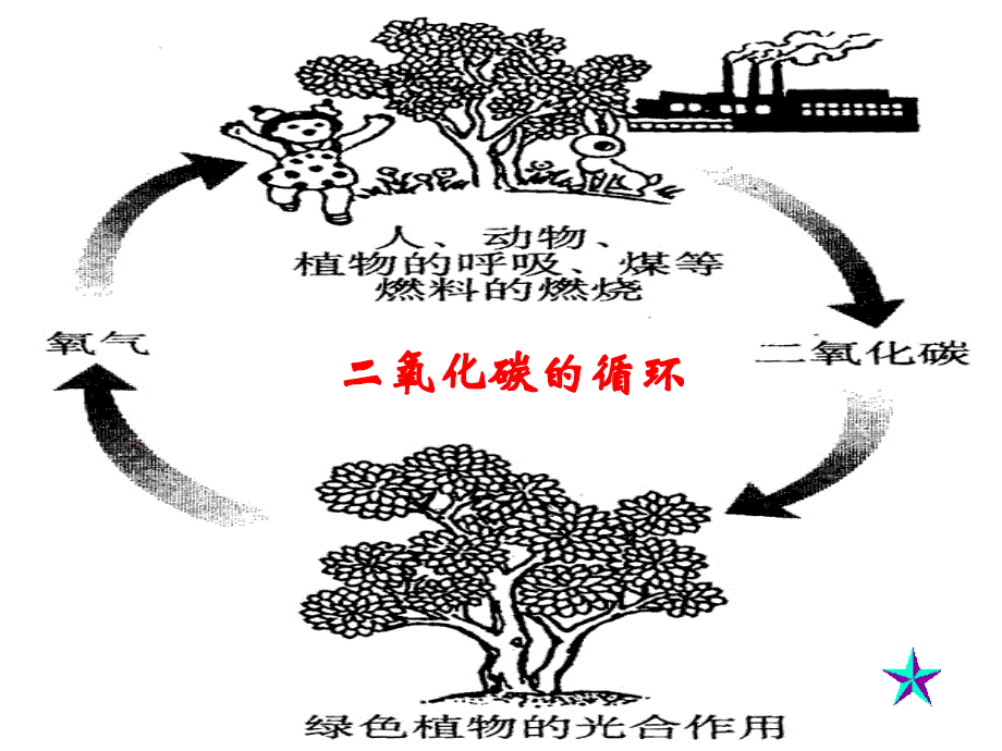 二氧化碳的性质和用途_第3页