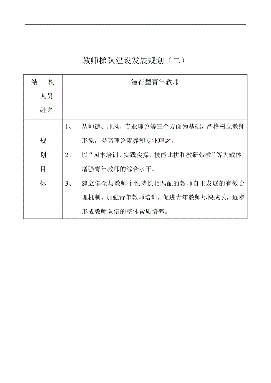 教师梯队建设发展规划表_第2页