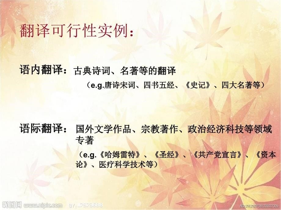 翻译的可行性不可行性_第5页