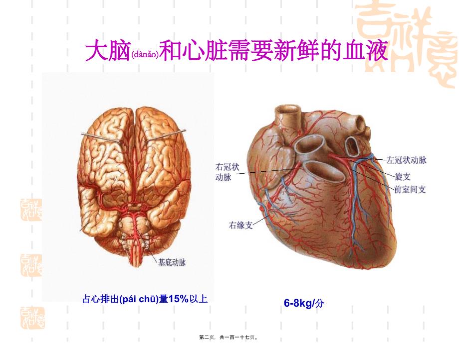 医学专题—最新12版基药心脑血管物部分-PPT文档_第2页