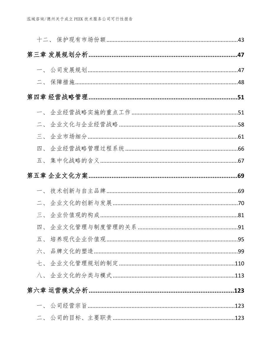 德州关于成立PEEK技术服务公司可行性报告_第2页