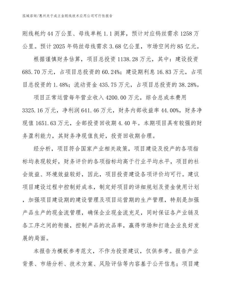 惠州关于成立金刚线技术应用公司可行性报告_第5页