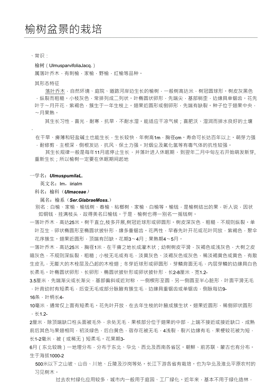 榆树盆景的栽培_第1页