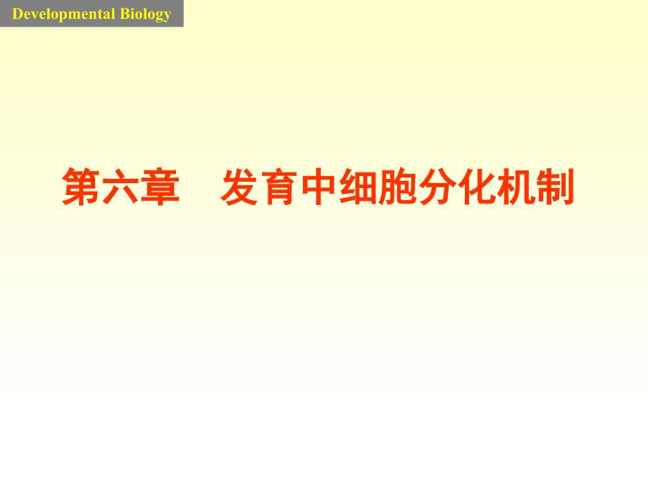 发育中细胞分化机制课件_第1页