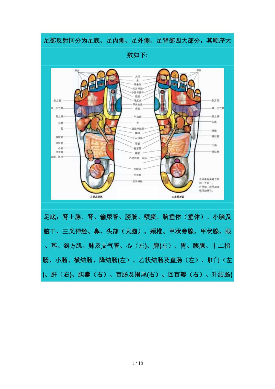 足部反射区分为足底_第1页