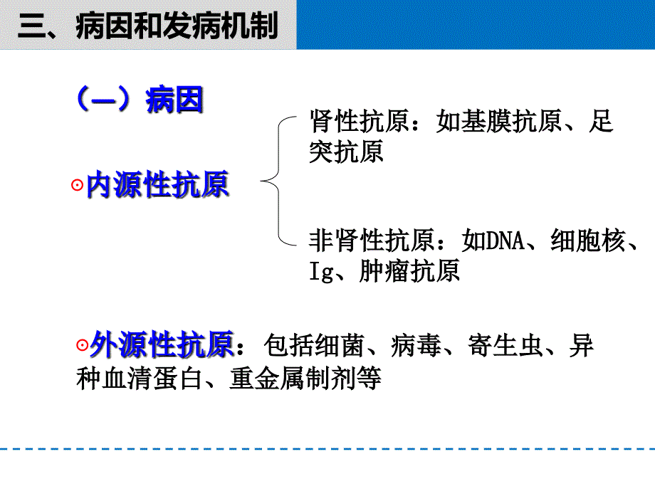 病理(肾小球肾炎)课件_第4页