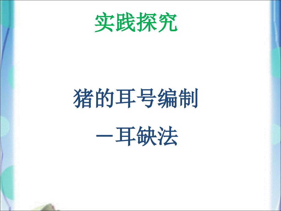 《猪的耳号编制》PPT课件.ppt_第3页