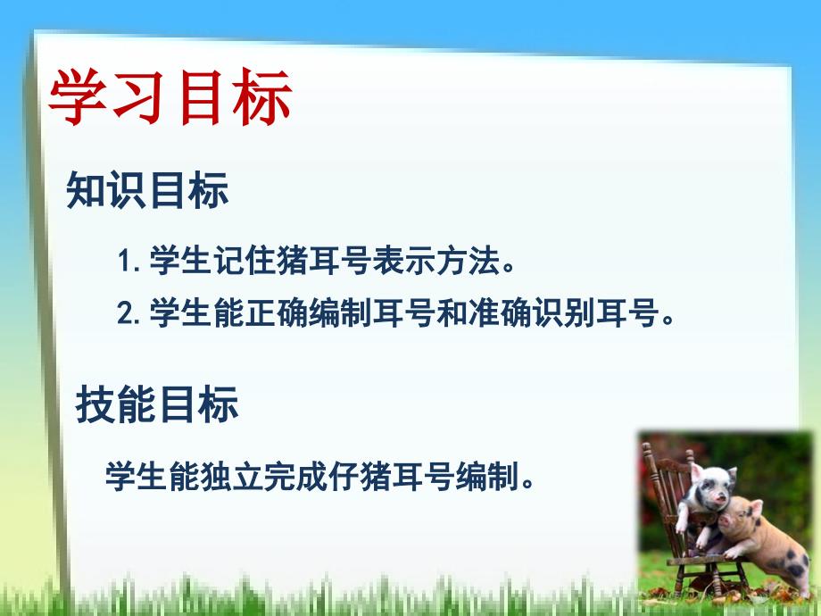 《猪的耳号编制》PPT课件.ppt_第4页