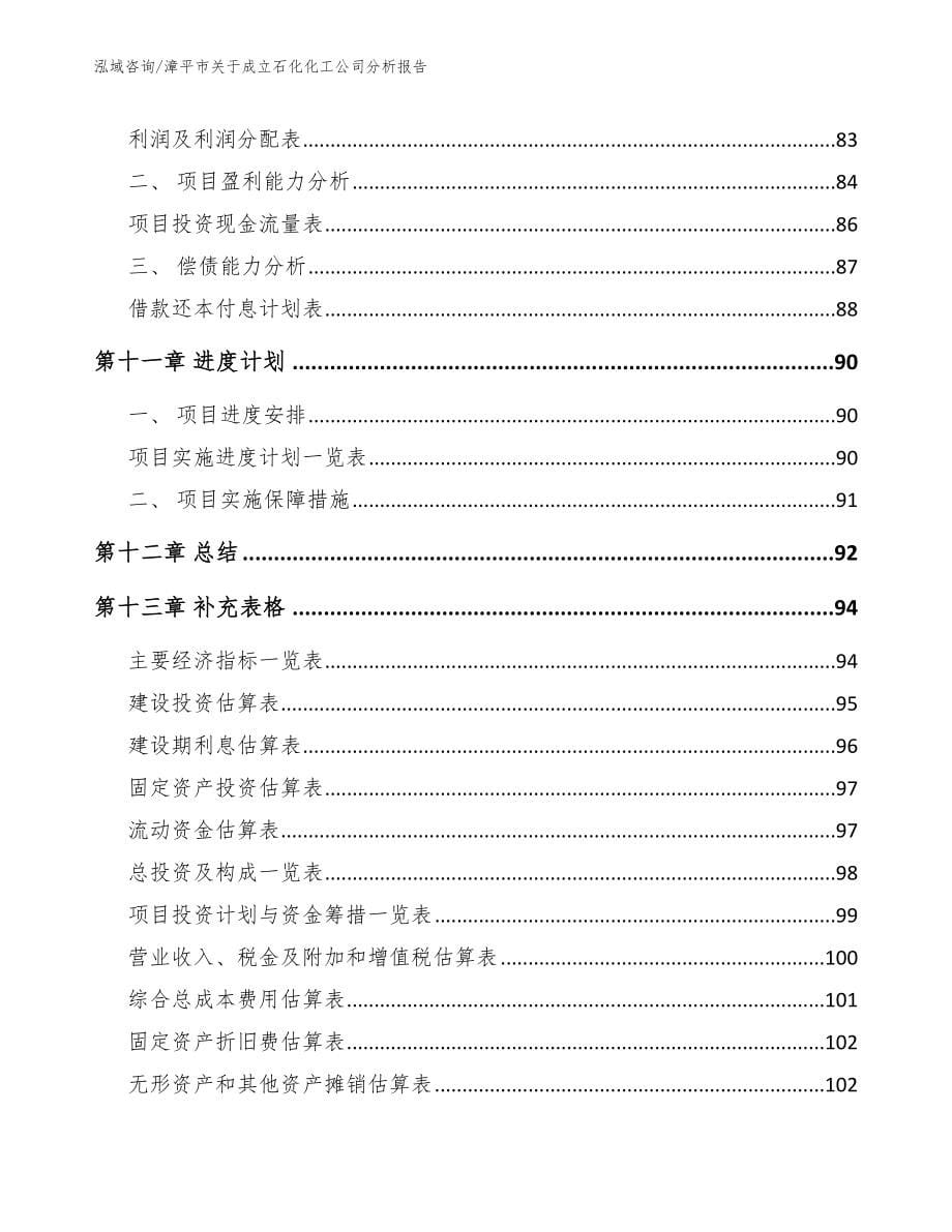漳平市关于成立石化化工公司分析报告参考模板_第5页