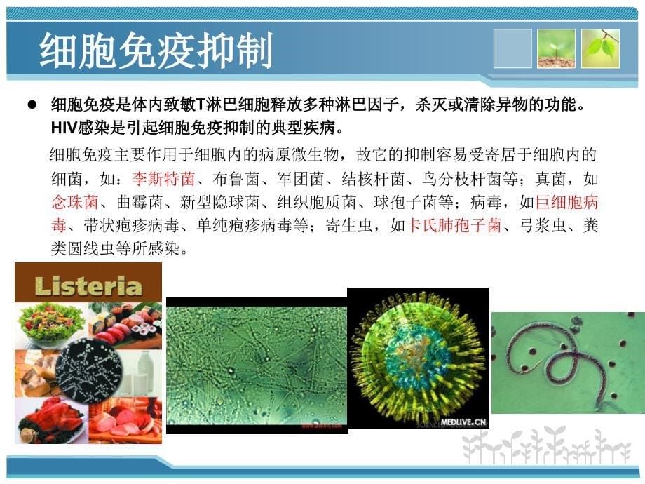 免疫抑制患者的感染特点及治疗_第5页