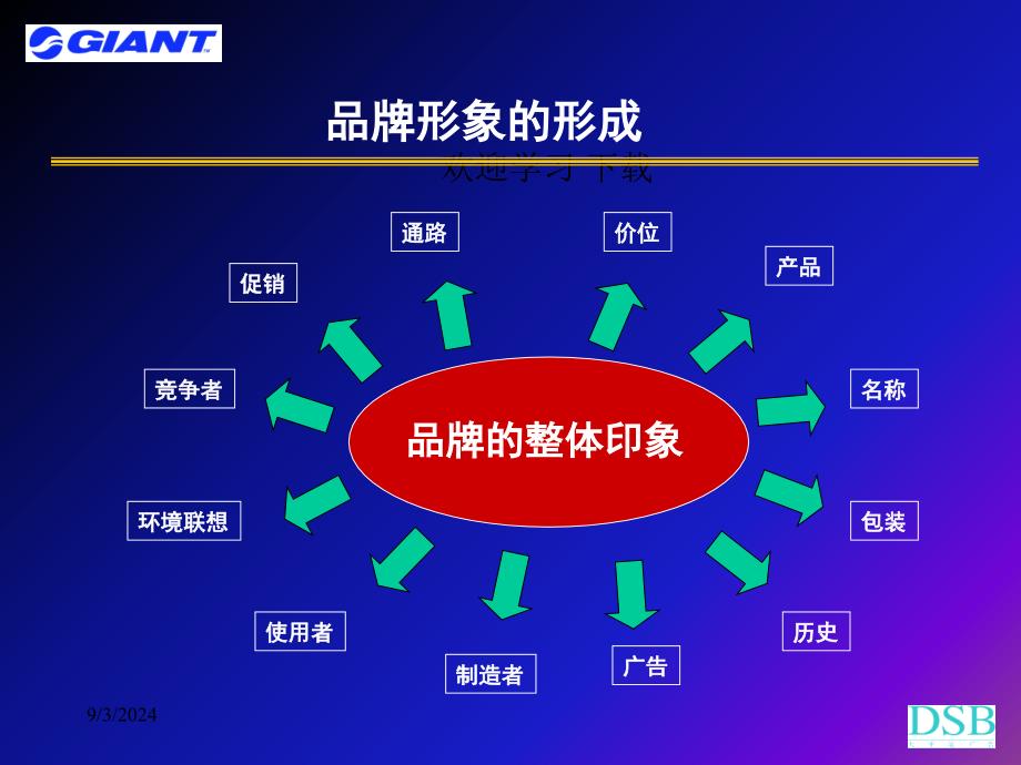 捷安特品牌传播推广梅高课件_第2页