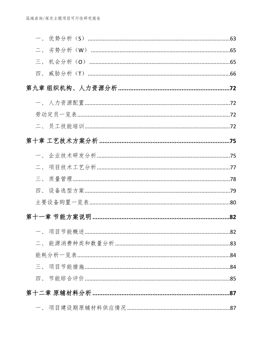 保定主辊项目可行性研究报告（范文模板）_第4页