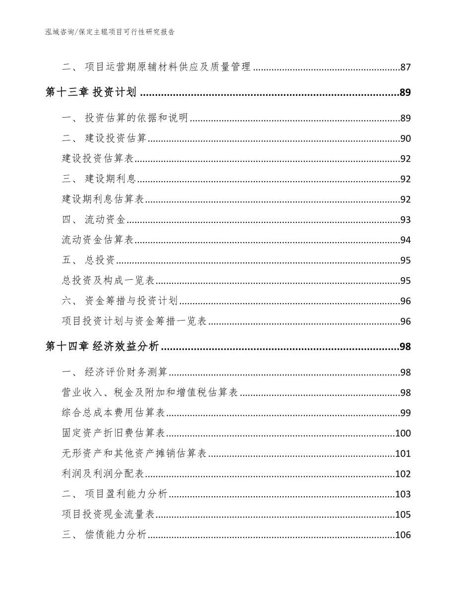 保定主辊项目可行性研究报告（范文模板）_第5页